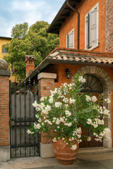 Romantic Italian house with large oleander with white flowers in front