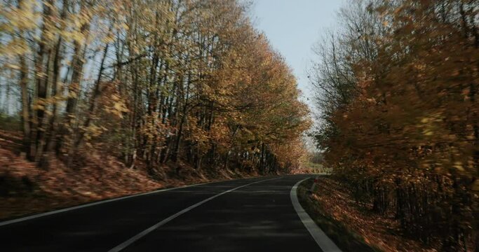 Driving a car through autumn landscaper