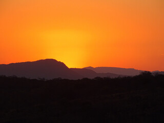 Scenic view of a golden sunset over the safari © Willy Kreeft/Wirestock