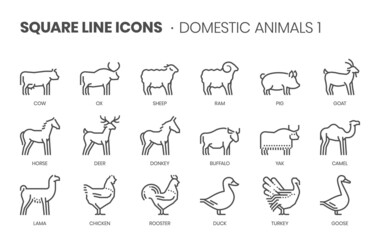 Domestic animals related, pixel perfect, editable stroke, up scalable square line vector icon set.