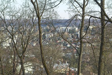 building in the woods