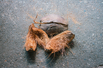 Coconut from the garden Brown coconut husks.
