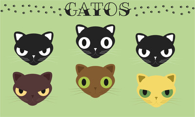 Cabezas de gatos (masculino)