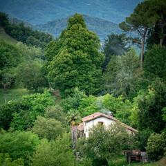 Fototapeta na wymiar Old rural house hidden in Italian landscape among green gardens, vineyards, and forests