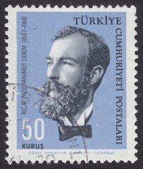 Portrait of Recaizade Mahmut Ekrem (1847-1914) - Turkish writer and literary critic, stamp Turkey 1964