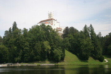 A medieval caste on the top of the hill, surrounded by a thick decidous forest