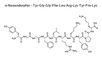 Alpha neoendorphin biomolecule molecular formula. Skeletal molecule structure vector eps10.