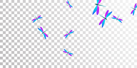 Exotic blue purple dragonfly isolated vector illustration. Spring beautiful insects. Wild dragonfly isolated children wallpaper. Sensitive wings damselflies graphic design. Fragile beings