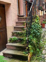 Fototapeta na wymiar Staircase with green leaves on metal railing in house