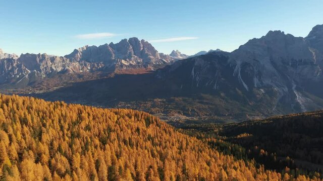 Aerial flight over bright autumn forest. Hight mountains with rocks covered by orange larches in the Dolomite Apls, Cortina D'Ampezzo, South Tyrol, Dolomites, Italy