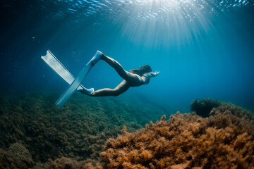 Free diver girl glides with freediving fins and sea bottom with seaweed. Freediving with woman and...