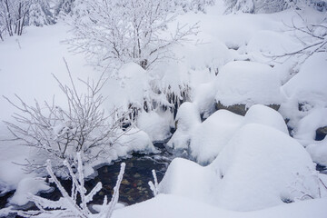 Snow-covered stream and trees in winter