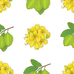 vector seamless pattern with ardjuna and kasia flowers