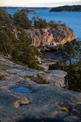 Fototapeta na wymiar Beautiful natural Scandinavian landscape. Rocky shore at the Baltic sea with pine trees forest. Sunny late autumn or winter day in the nature in Sweden, Stockholm archipelago.