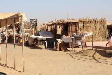 Voyage sud tunisien, nature