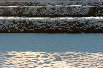 covered in snow