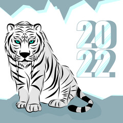 2022 the year of tiger