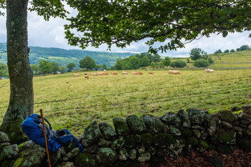 Pastures viewed from the Way of St. James in central France