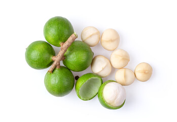 macadamia nut isolated on white background