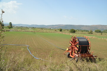 irrigation splashing water in a corn field  reel hose summer season