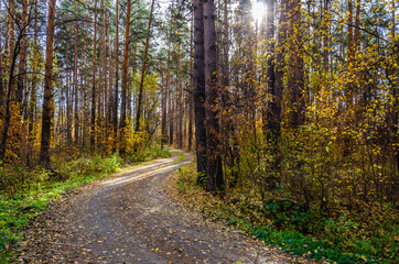 Fototapeta premium Dirt road in the autumn forest.