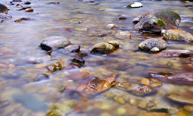 Stream in Tatra National Park