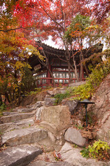 만추, 한국풍경, Late autumn, KOREA Traditional House