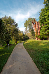 The path in the park