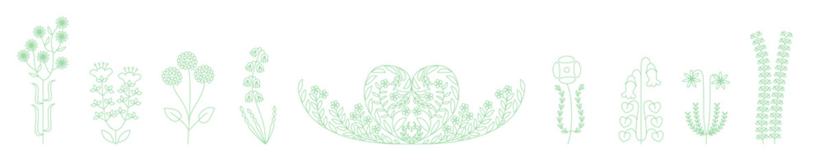 Blossom flower Set on white isolated background via Botanical illustration and Decorative floral object in line art