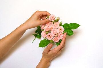 Close-up of woman florist's hand making bouquet of pink roses on a light table. Beautiful cute bouquet for womens holiday. The concept of the work of the florist in the store.