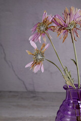 pink dry flowers in vase on table