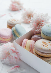 Colorful macaroons in a gift box and chrysantemum