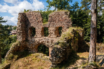 Tocnik, Central Bohemia, Czech Republic, 31 July 2021: Ruins of medieval castle Zebrak on hill, old...