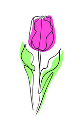Tulip flower line art  with color spots.  One line artwork. Minimalist contour drawing. Organic simple icon. Isolated on white background. EPS 8