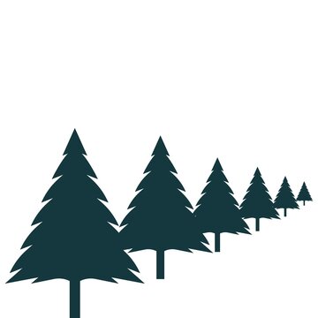 pines tree vector illustration design