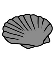 Logo Graue Muschel 