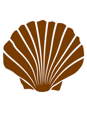 Logo Braune Muschel 