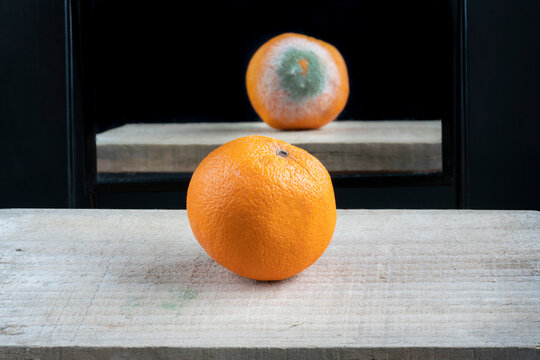 Fresh And Ripe Orange Fruit On Table Against Mirror Reflection With Rotten Bad Side. 