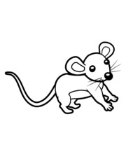 Kleine Graue Maus 