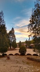 Sunset sky above dry dirt and pine