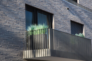 Modern architecture and garden design or landscaping: Pots with feather pampas grass plants or...