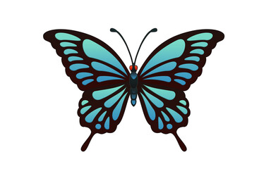 butterfly simple vector illustration blue color white background