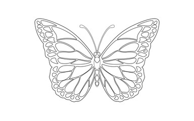 butterfly monarch vector illustration line 나비 일러스트 red color white background