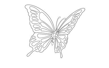 butterfly simple perspective vector illustration 나비 일러스트 line