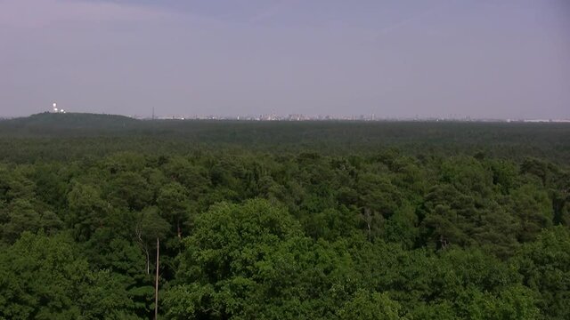 Berlin Grunewald with Teufelsberg and Berlin city in the back, Germany. 