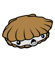 Erschrockene ängstliche Muschel 