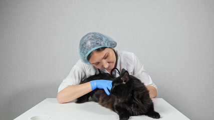 woman veterinarian examines the fur of a black cat.