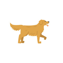 Cute dog of labrador or retriever breed, flat vector illustration isolated on white background.