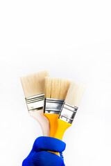 Clean brushes on a white background. A hand in a blue glove holds brushes. Construction tools. Paint brushes