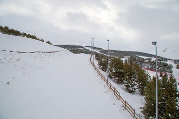 Ski slopes and Ski lifts. Small pine trees with snow. Mountain skiing and snowboarding.
